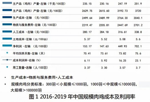 最新鸡蛋成本,2020年鸡蛋成本是多少