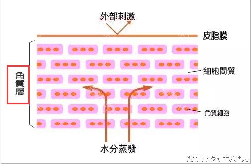 管家婆最准一码一肖100_数据资料解剖落实_尊贵版119.210.183.33