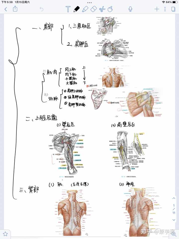 7777788888一肖一码_解剖落实_准确资料_VS214.162.240.30