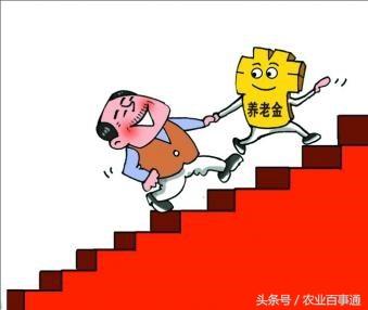 河北省养老金政策调整最新动态，民众期待与上调趋势分析（2017年）